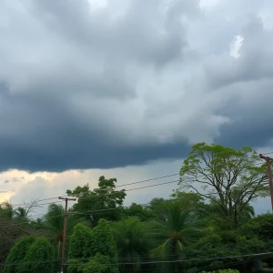 Storm damage in metro Atlanta with downed trees and power lines