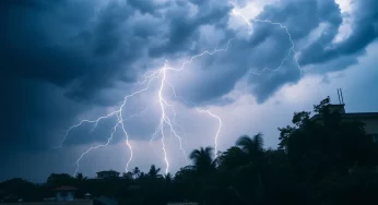 Severe Thunderstorms Cause Widespread Damage in Georgia