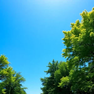 A clear and sunny day in Atlanta after a storm