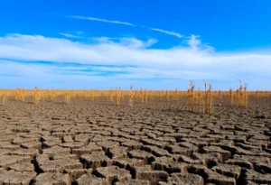 Aerial view of drought-affected farmland in Georgia