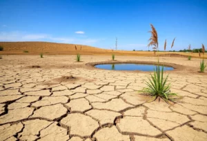 A dry landscape in Atlanta showcasing drought effects with low water levels.