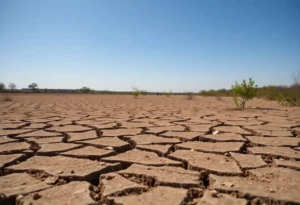 A dry and cracked landscape in Atlanta, Georgia.