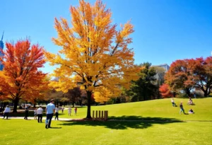 People enjoying a sunny fall day in a park in Atlanta with colorful trees.