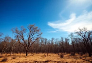 Dry forest landscape signaling fire warnings in Georgia