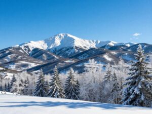 Snowy landscape in North Georgia mountains
