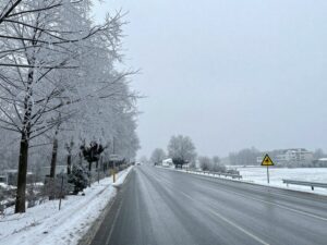 Winter storm in Georgia with ice and rain on trees