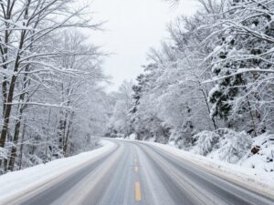 Icy roads and snow-covered trees in North Georgia during the winter storm