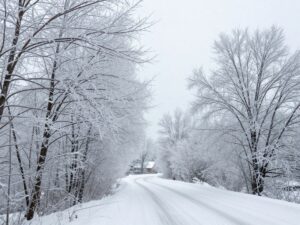 Winter storm in Georgia with icy trees and snow-covered roads