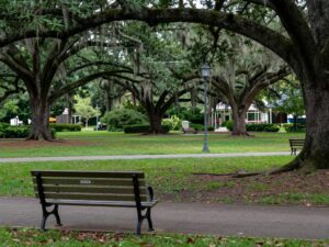 A tranquil Savannah park with trees and benches