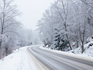 Icy roads and frozen landscape in Georgia during Winter Storm Fern