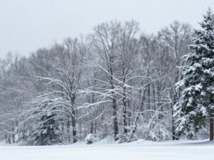 Snow-covered landscape in north Georgia