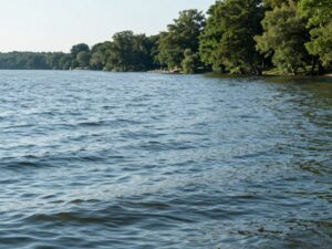 Tranquil scene of Lake Lanier with trees and calm waters