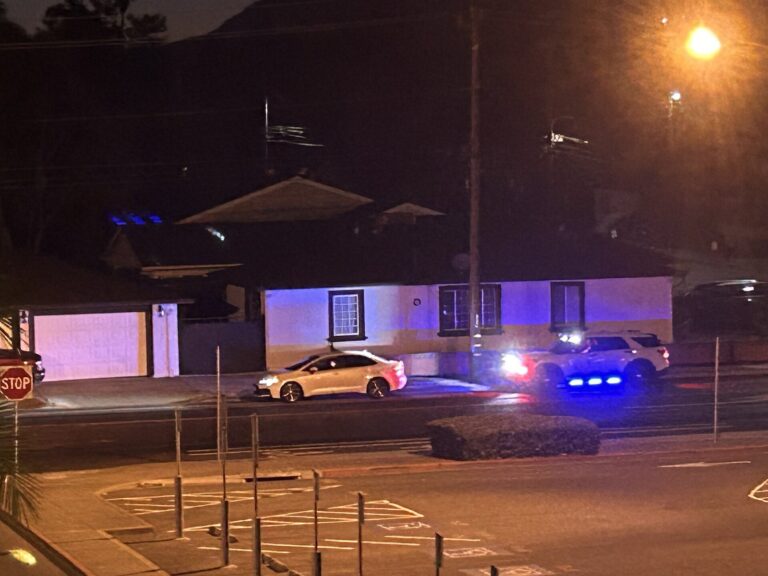 Car Thefts Keep Falling in Georgia