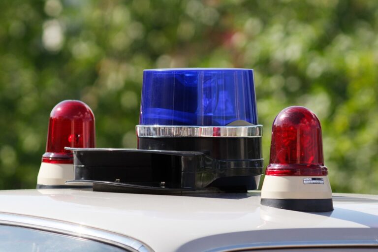 Georgia Sheriffs Plan Statewide Sex Offender Checks