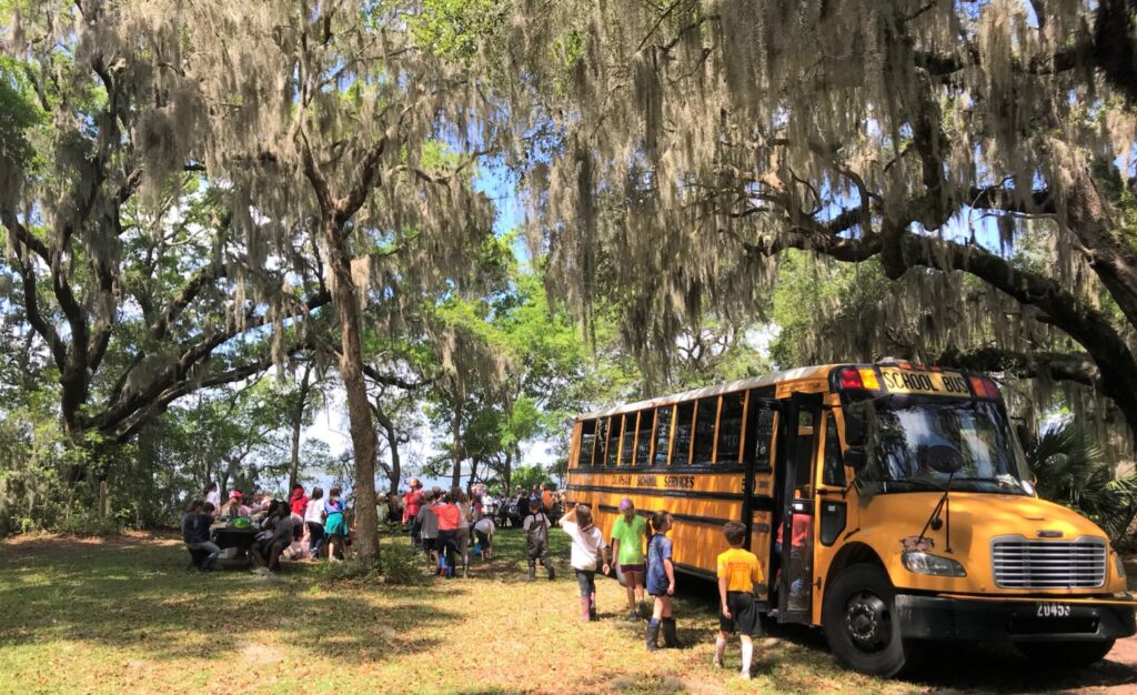 Yellow school bus parked under oak trees
